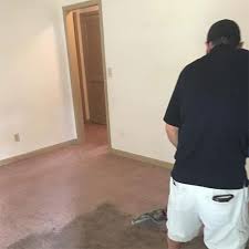 You will not find any company who have more highly trained technician like our company. 5 Star Carpet Cleaning In Woodstock Ga Action Steam Cleaning