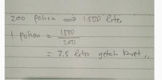 Bibit tanaman buah kelapa hibrida unggul, murah, bergaransi. Pembibitan Karet Ud Mutiara Hijau Desa Pargarutan Baru Memproduksi Bibit Unggul Untuk Varietas Brainly Co Id