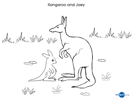 Kangaroos coloring pages lovely coloring pages for kids line. Cartoon Kangaroo With Joey Coloring Page Coloring And Drawing