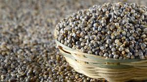Bajra - A Nutritional Powerhouse – Naturally Yours