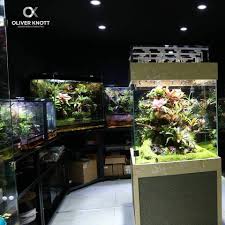 Pin By W G On Terrarium Vivarium Terrarium Inspiration