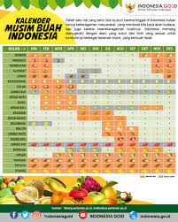 Jadwal musim mekar sakura di jepang tahun ini. Ingin Makan Buah Favorit Tapi Tidak Ada Di Pasar Pelajari Kalender Musim Buah Di Indonesia Kartianmyid