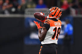Bengals Wr Aj Green Suffers Injury At Training Camp