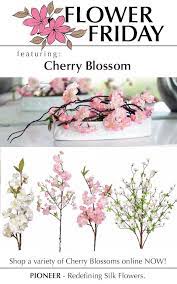 Pin On Cherry Blossoms Sakura