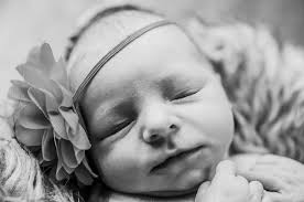 Polinski Photography