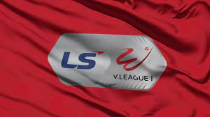 Each team plays 14 matches. Logo Giáº£i Va Logo 14 Clb Giáº£i VÄ'qg Ls 2020 Vpf