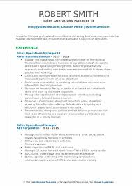 In fact, many finance manager assistant jobs require experience in a role such as administrative assistant. Sales Support Manager Resume Samples Qwikresume