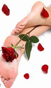 Love Roses Are Red Photo Red Roses Love Rose Black And Red Roses