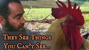 ICAC20 Malika Yates, Elite Miss Delaware Earth, Eco-Education