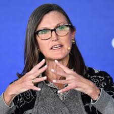 Why Cathie Wood's ARK thinks the time is ripe for new venture capital fund  — and is working