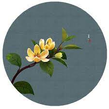 莳花景 作者 无轩 traditional japanese art japanese art space art