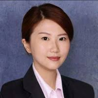 10+ "Wing (wing)" profiles