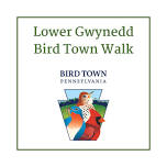 Lower Gwynedd Bird Town Walk