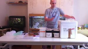 Fast the fish for 24 hours prior to shipping. How To Package Live Fish Ready For Shipping Postage Youtube