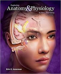 Exploring Anatomy And Physiology In The Laboratory 3rd Edition By Erin C Amerman In 2020 Anatomy And Physiology Physiology Ebook