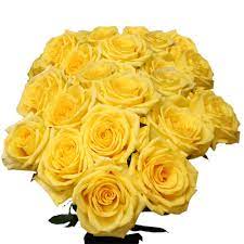 GlobalRose Best Yellow Roses - 150 Gold Strike Roses Long : Amazon.in: Grocery & Gourmet Foods