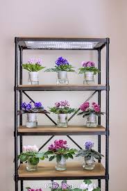 When i began to develop an interest in portrait photography, it didn't take me long to realize what i came up with was a stand made out of that old standby, pvc piping. The Easiest Diy Grow Light Stand For Indoor Plants With Video Tutorial