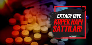 Kopek Haplarini Extacy Uyusturucu Hapi Diye Sattilar Kopek Gercekler Haber