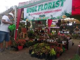 Check spelling or type a new query. Berbagai Macam Tanaman Hias Indoor Tersedia Di Budi Florist