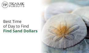 Find a tide chart for the beach you intend to visit to find out when the low tides will be occurring and make the time. The Best Time To Find Sand Dollars Treasure Pursuits