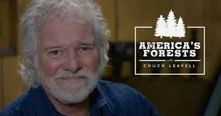 Wisconsin Northwoods