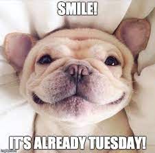 There's sure to be at least one that expresses how you feel. 15 Happy Tuesday Memes Best Funny Tuesday Memes Happy Tuesday Meme Happy Tuesday Quotes Tuesday Quotes