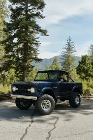 Image result for Medium Blue Glow 1981 Bronco