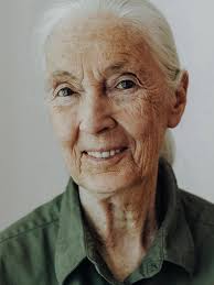 mylifeasjordanreads joined @veganbookclub in reading Eternal Treblinka in  September and took this amazing photo! Are you part of any book clubs? .  Repost @mylifeasjordanreads with @get_repost . 📚Happy Sunday 😁 I hope