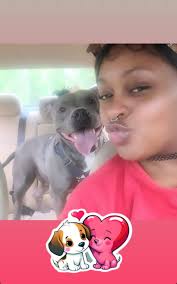 Hi everyone I'd like you to meet Zoe my best friend. Unfortunately I would  have to rehome her due to developing severe allergies and I would like to  make sure she goes