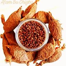 Spiritual Symbolism of Ose Oji (Alligator Pepper) in Igbo Culture || Nnewi City
