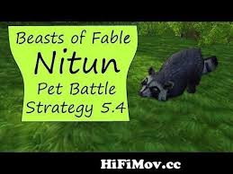 The quest beasts of fable will have you flying all over pandaria to fight different elite pets (they're orange legendary status!), and after you've beat all of these elite battle pets, you'll be rewarded with a cute little red panda pet. Nitun Beasts Of Fable Pet Battle Guide 5 4 From Nitun Watch Video Hifimov Cc