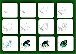 Check spelling or type a new query. Step By Step Drawing Of Butterfly Simple Colorful Butterfly Drawing