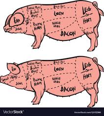 Hand Drawn Pig Diagram Butcher Diagram