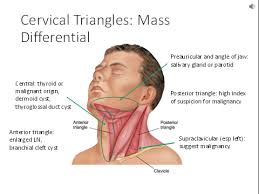 Image result for Neck Exam