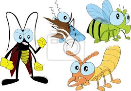 Um dies zu vermeiden, sollten sie diese stellen mit fugenkitt oder spachtelmasse verschließen. Insekten In Haus 2 Fototapete Fototapeten Kuchenschabe Termiten Mucke Myloview De