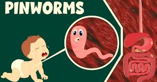 Image result for Pinworm
