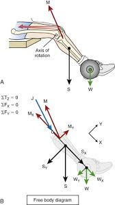Image result for Champaign 1997 Vector