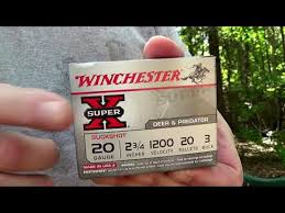 Testing Buckshot For Youth Hunters 20 Gauge Youtube