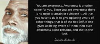 Is All-That-Is actually One Self with a Prime Identity?