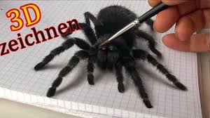 3d Zeichnung Einer Vogel Spinne Trick Art Malerei Youtube