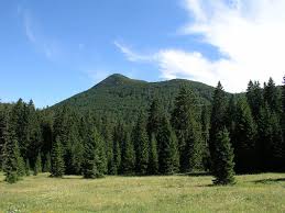 Croata, nacionalni park sjeverni velebit) es el parque nacional más reciente en croacia. Nationalpark Nord Velebit Kroatien Reisefuhrer
