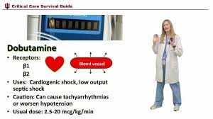 Vasopressors In Icu