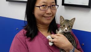 Marcus Lo's Instagram, Twitter & Facebook