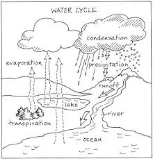 The Hydrologic Cycle Science Project Education Com Water Cycle Water Cycle Worksheet Water Cycle Diagram