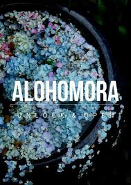 Hermione used this spell on flitwick's window when she, harry, and buckbeak rescued sirius. Alohomora Harry Potter Spells Harry Potter Universal Harry Potter Aesthetic