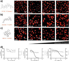 Two alternative interrogation techniques are (1) preparation and planning, engage and explain, account, closure and evaluate (peace), a less confrontational method used in england, and (2) the kinesic interview, a method that focuses on recognizing deception. Development Of A Characterised Tool Kit For The Interrogation Of Nlrp3 Inflammasome Dependent Responses Scientific Reports