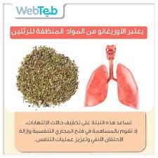 من فوائد الأوريغوانو الزعتر Health Health Eating Eat