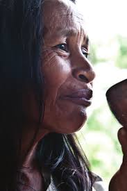 Amazon In Focus FALL 2012