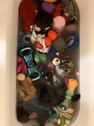 I absolutely love dogs, but. How To Get Rid Of Dog Smell In Your House Laptrinhx News