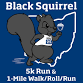 2025 13th Annual Black Squirrel 5K Walk/Run & 1-Mile Walk/Roll/Run